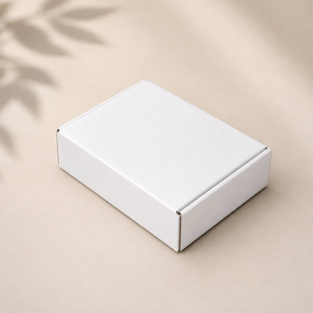 White Mailer Box
